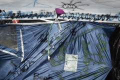 Camp_web_33
